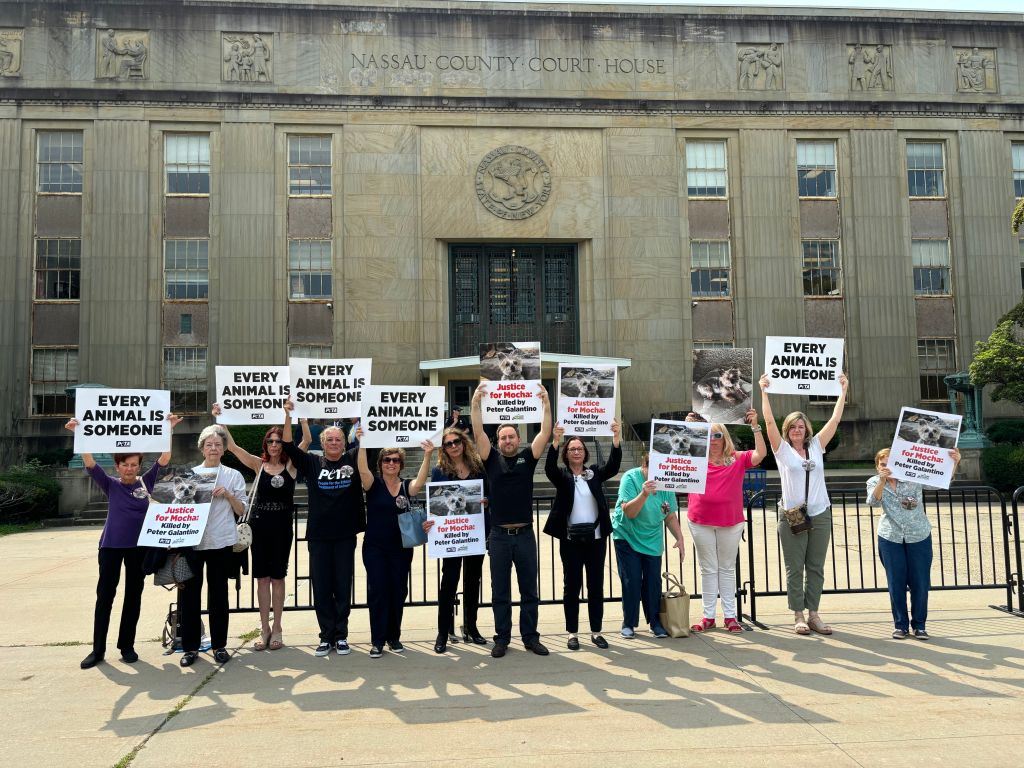 Humane Long Island protests dog kicker's two-week jail sentence