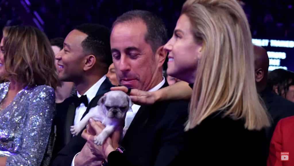 Jerry Seinfeld consolation puppy Grammys – YouTube screenshot