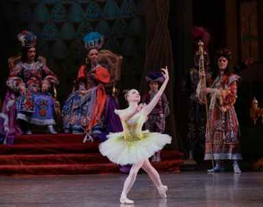 Lydia Wellington in The Sleeping Beauty. Photo Credit Paul Kolnik