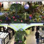 Macys Flower Show 2019 Journey to Paradisios by Diane Bondareff 307