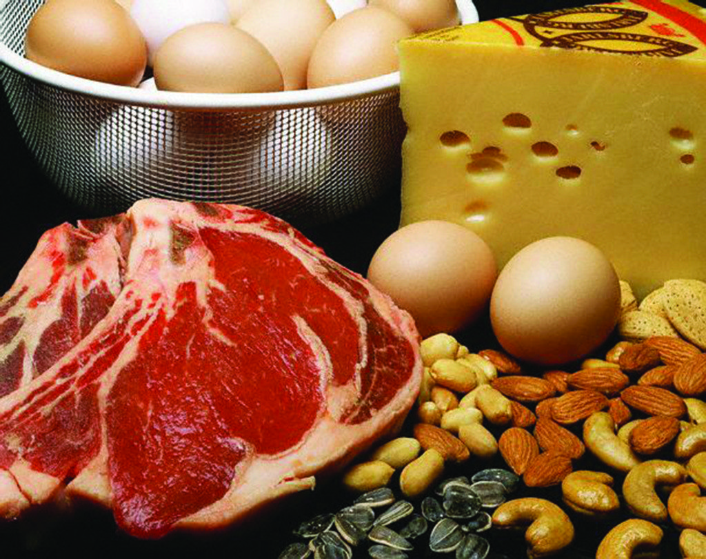 High Protein Foods