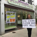 Mothers Day Puppy Mills C