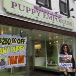 Mothers Day Puppy Mills D