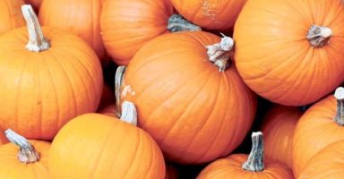 Pumpkins_A