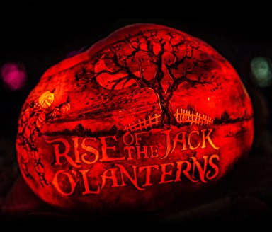 RISE_logo_art_pumpkin