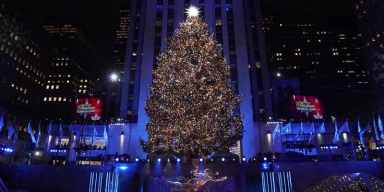 RockefellerTree_A