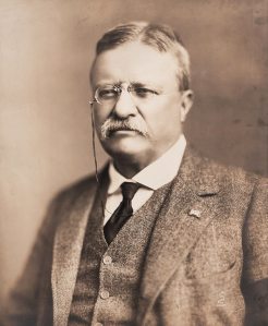 Theodore Roosevelt in 1918 web