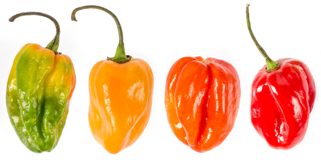 hot-peppers