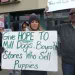 puppystoreprotest10