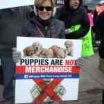 puppystoreprotest11