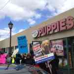 puppystoreprotest7