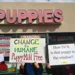 puppystoreprotest8