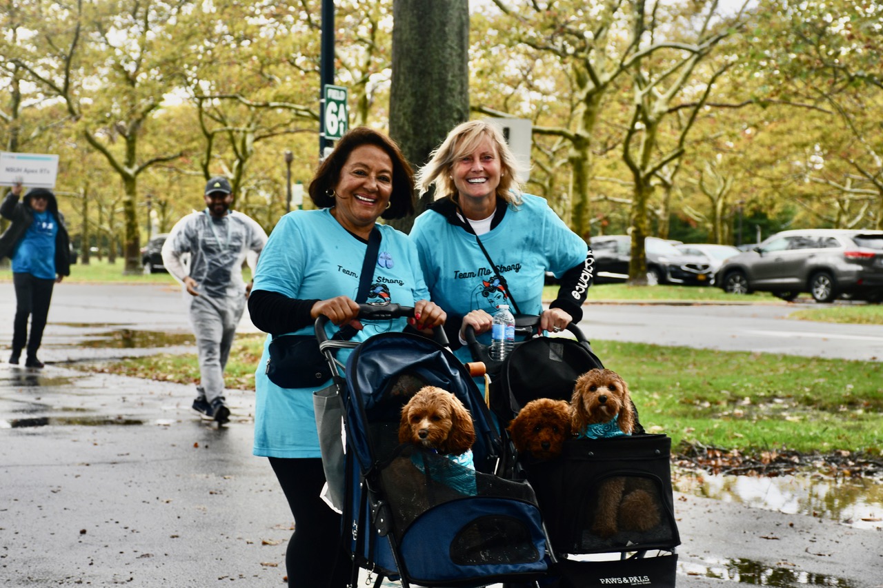 lung force walk american lung association lung cancer