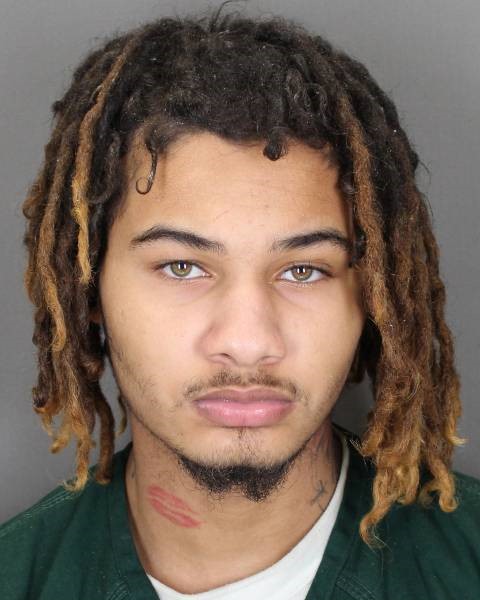 David Trent, 19, of Mastic Beach, was sentenced to 28 years in prison for violence he committed as a member of a gang valled 'No Fake Love,' or the 'NFL.'