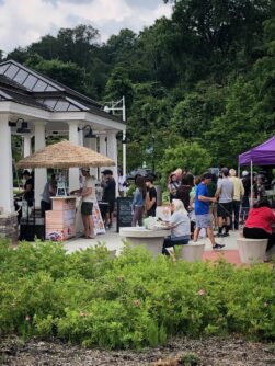 Deep Roots Farmers Market 1 of 1 3 251x334 1