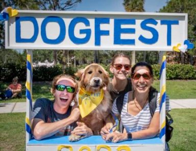 DogFest