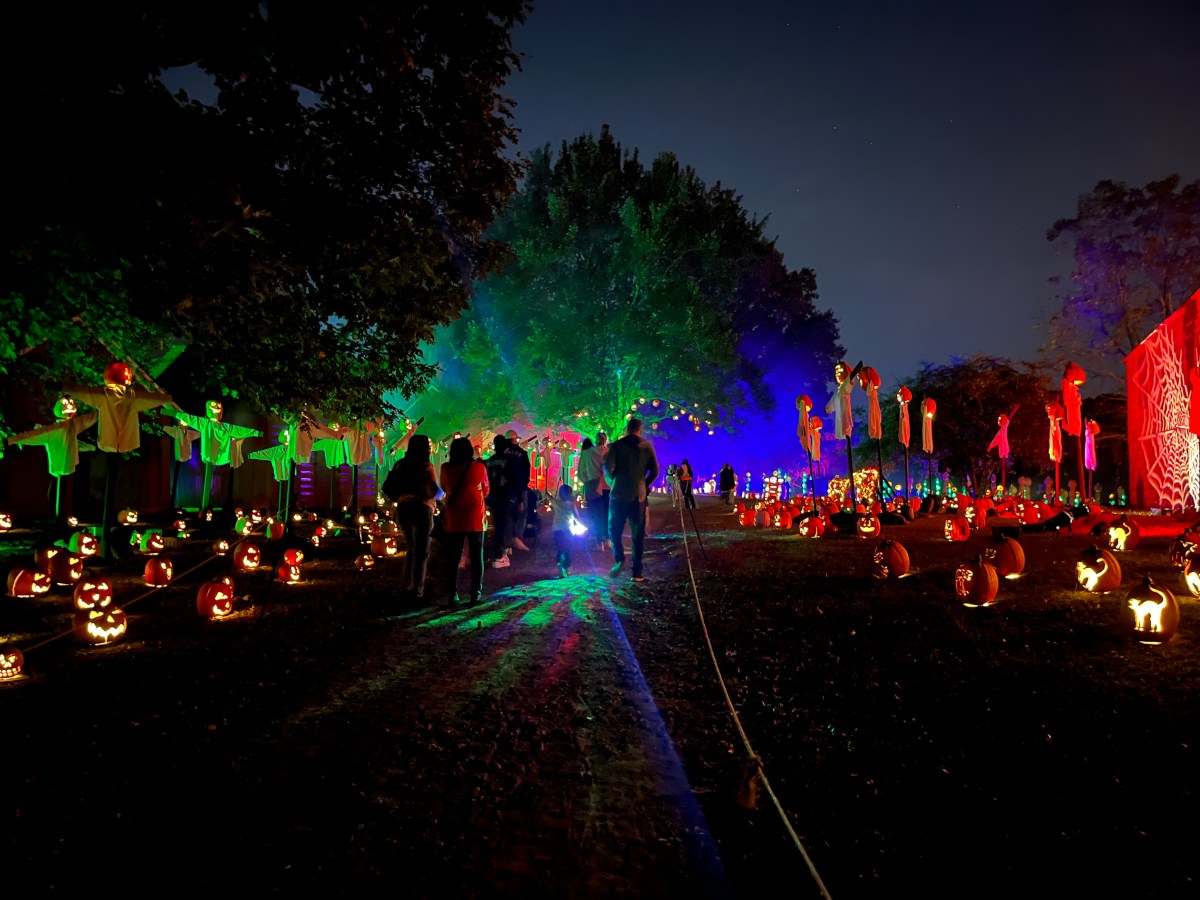 great jack o'lantern blaze