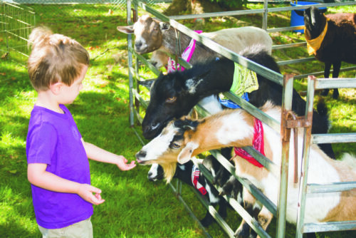 Cow Neck Peninsula Historical Society’s 2024 Fall Colonial Fair