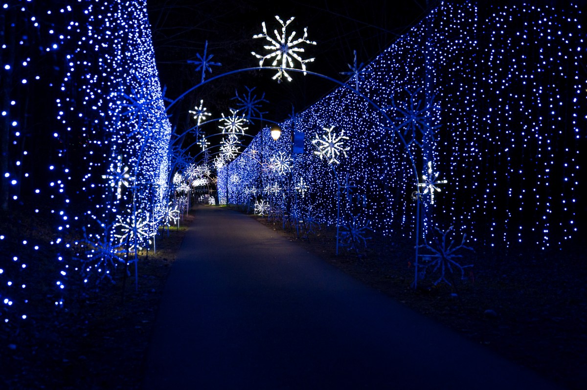 Things to do on Long Island this weekend include concerts, holiday light shows and more.