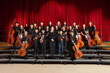 Manhasset MS String Ensemble selected for NYSSMA Festival