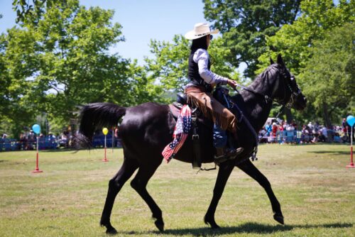 Rough Rider Return 2024 1 1 500x334 1