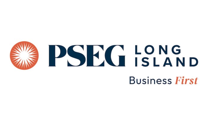 PSEG Long Island has partnered with Schneps Media to launch 'Small Business Stars,' a year-long celebration showcasing entrepreneurs and innovation. 