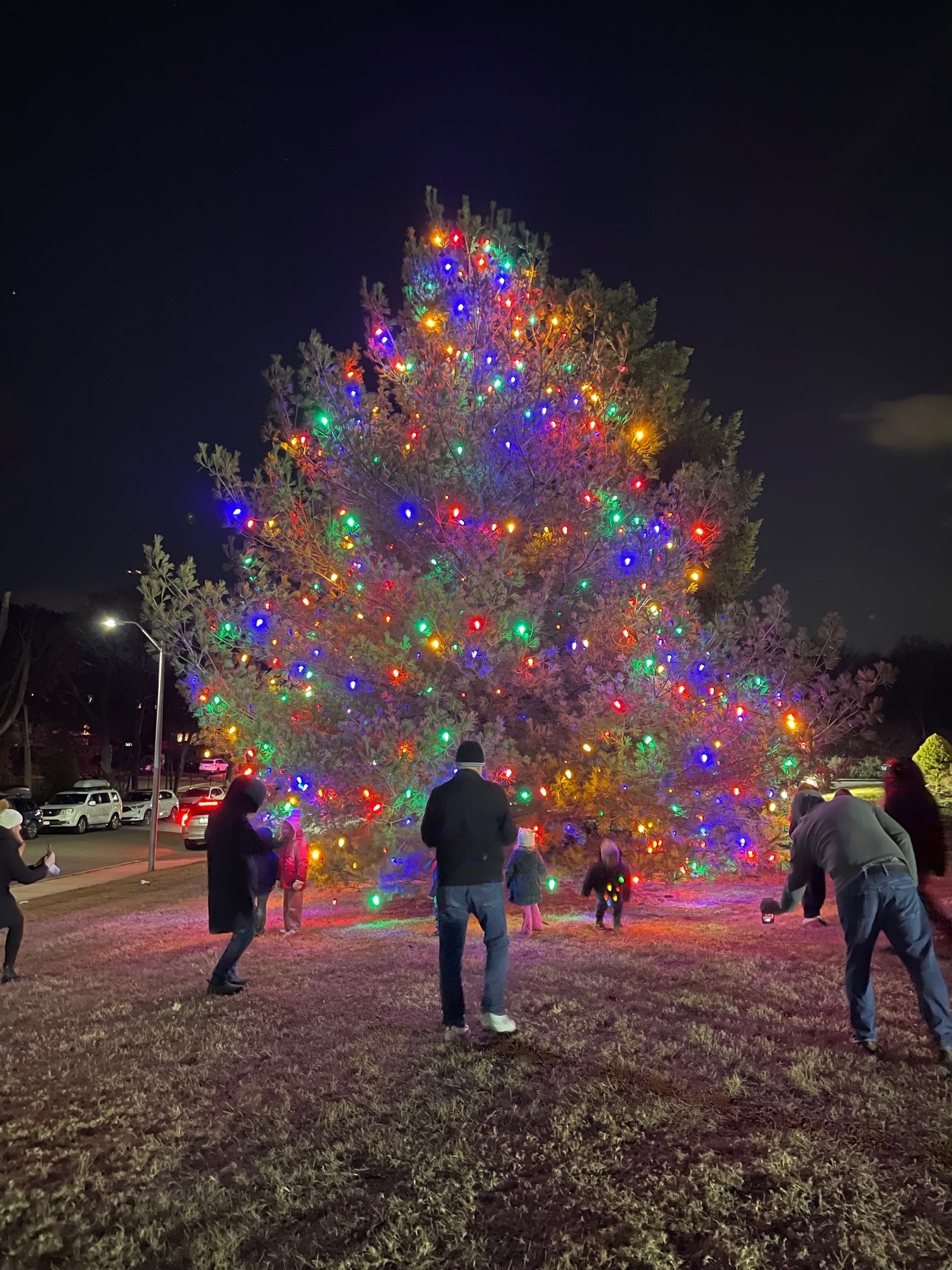 plainview menorah lighting christmas holiday