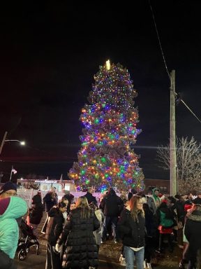 Tree all a glow