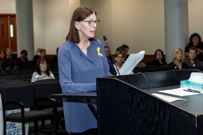 Corinne Kaufman, whose granddaughter Paige Gibbons died of an accidental overdose in 2022, spoke in front of the Nassau County Legislature pleading for opioid settlement funds to be spent to combat the opioid crisis