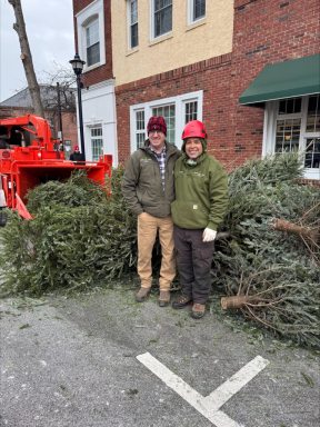 treerecycling