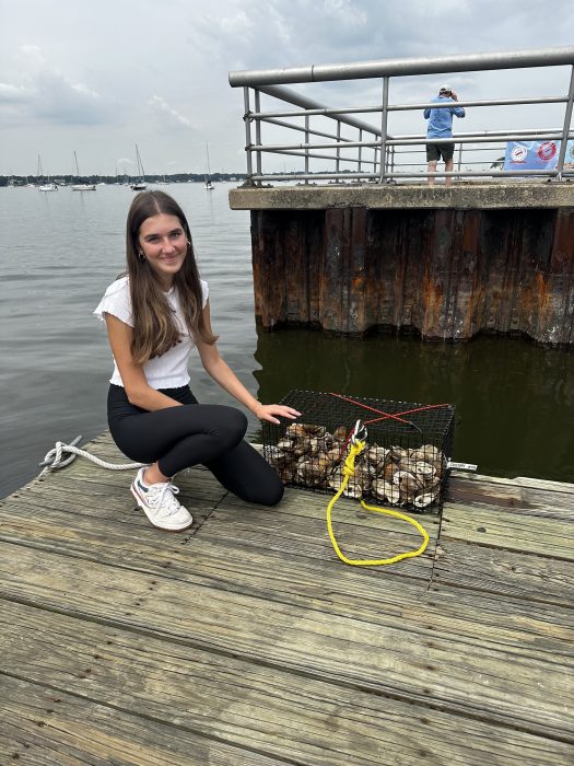 Manhasset girl scout Nicole Maliagros helped lead the local oyster gardening project in Manhasset Bay