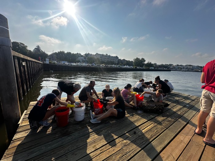 Volunteers maintaining the oyster gardens in Manhasset Bay