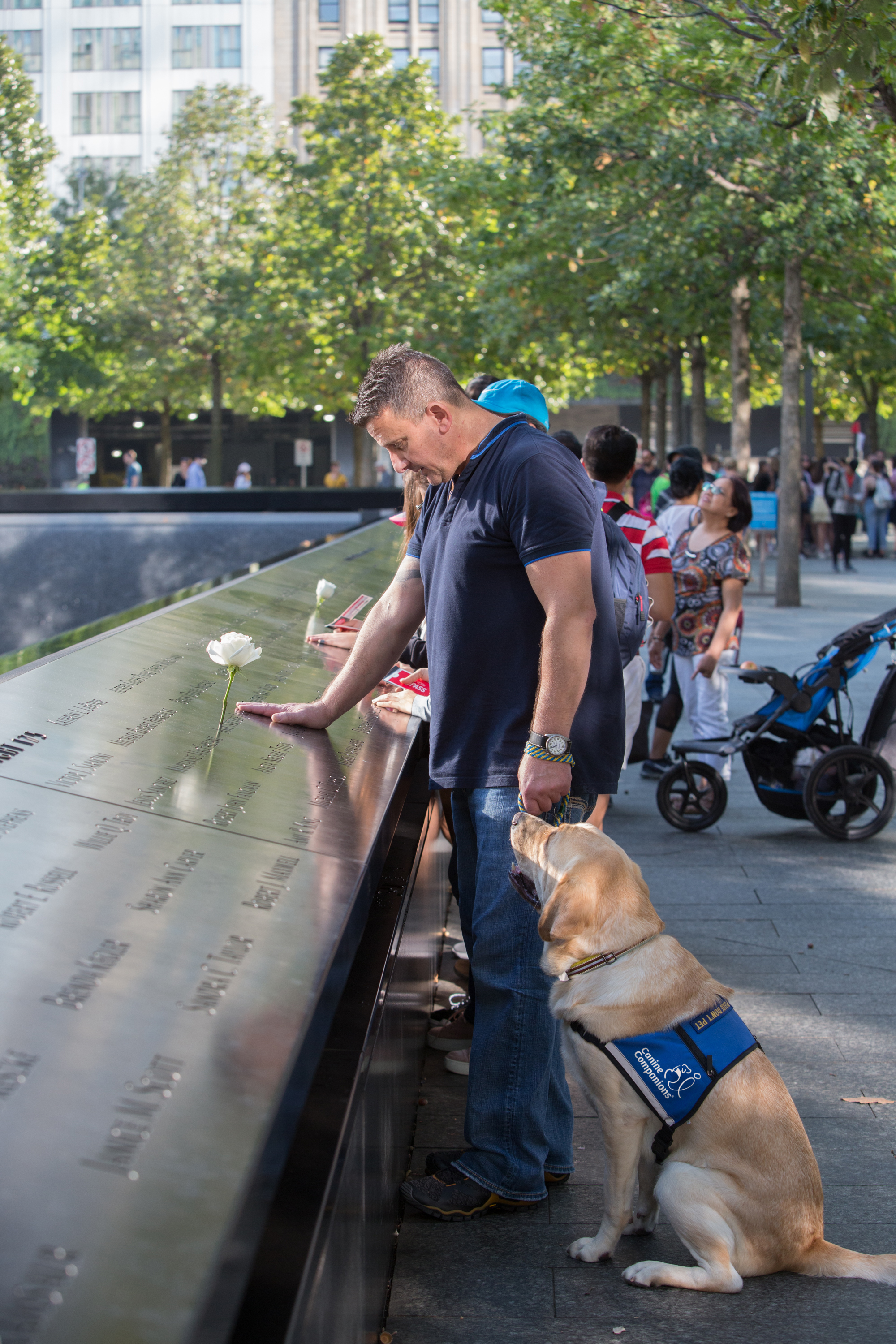 Small business stars canine compassions