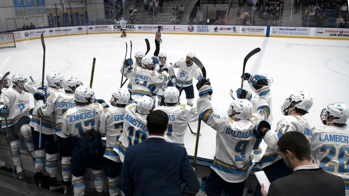 The LIU Sharks won a program-best 20 games during its latest season (William A. Miecuna)