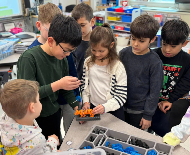 Students at Daly Elementary School used their skills in forces and interactions to save a toy tiger trapped at the start of their science unit.